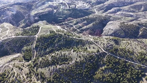 Aerial Descent Toward Sparse Trees on Rolling Hills Stock Footage 344740636