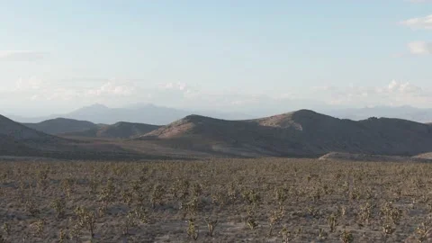 Aerial of Desert Landscape Stock Footage 204082427