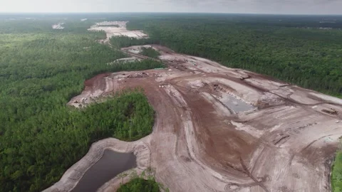 Aerial Development Land Clearing Surrounded by Pine Trees Stock Footage 249764347