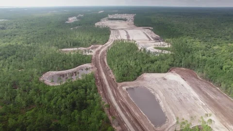 Aerial Development Land Clearing Surrounded by Pine Trees Stock Footage 249764365
