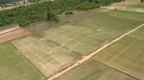 Aerial of different flooded rural fields low altitude-02 Stock Footage 920012