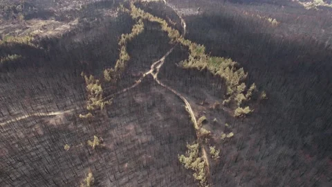 Aerial of divided path located in between burnt surface. Stockbeeldmateriaal 159601967