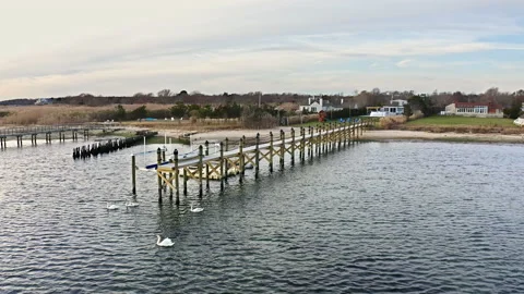 Aerial of a dock with swans in the hamptons Stock Footage 168715357