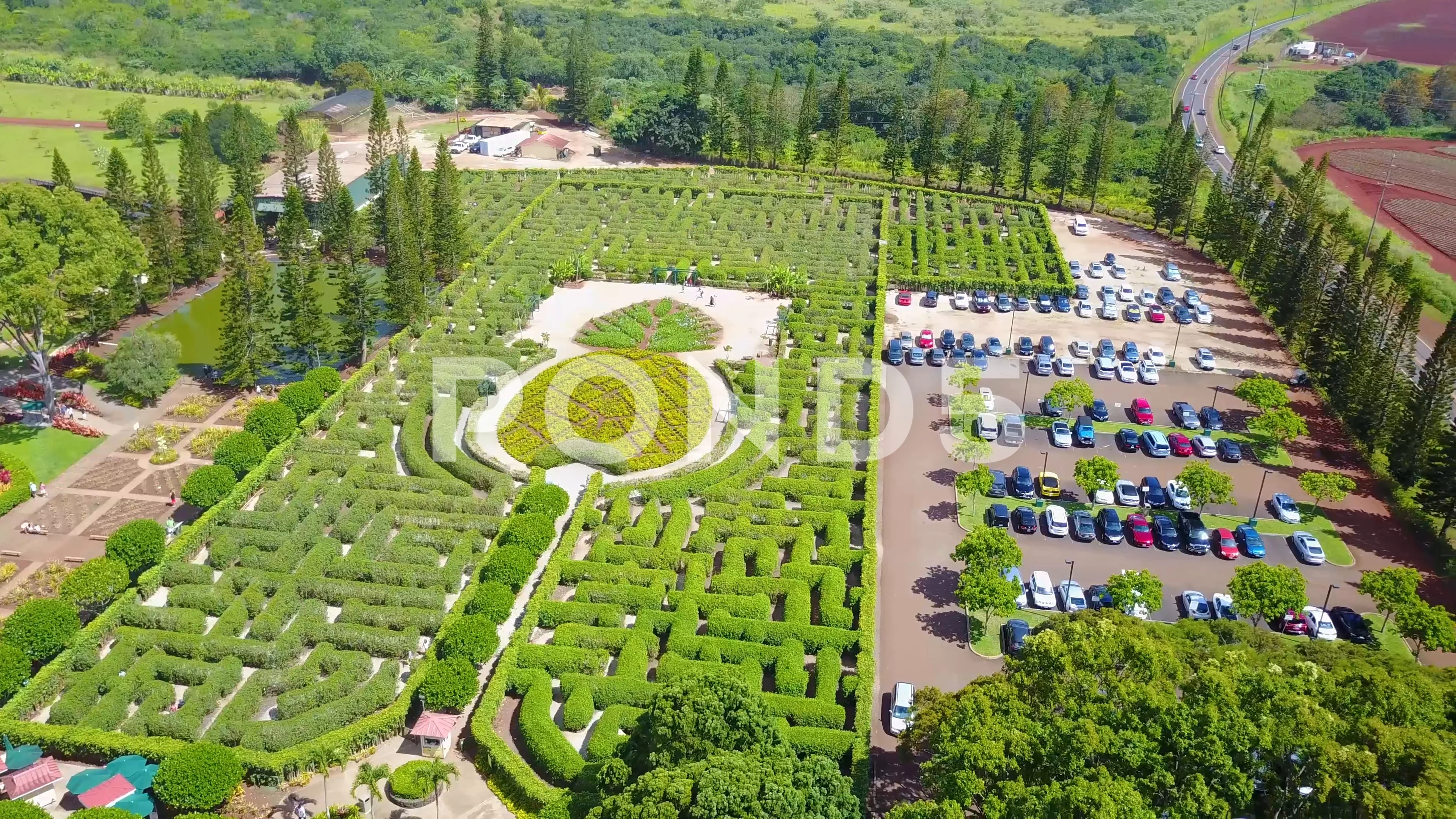 Aerial Dole Pineapple Plantation Maze Walking Hedge Maze Oahu