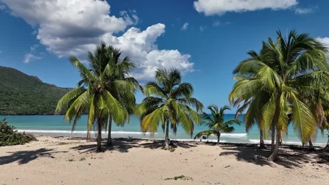 Aerial dolly left over beach with coconut trees revealing landscape on Vidéo 267964147