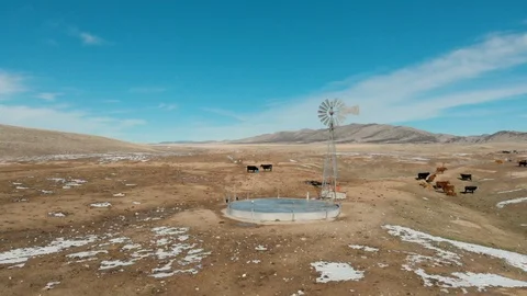 Aerial-Dolly right simulation of old fashioned windmill with cattle Stock Footage 99995906