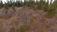 Aerial Dolly Shot Of Family Walking Through The Woods Hunting Stock Footage