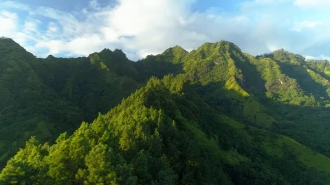 Aerial dolly view of pine trees in abrupt mountain landscape in Polynesia Stock-Footage 92077203