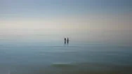 Aerial Done View Of Two People Walking In The Water At Low Tide In Cape Cod Stock Footage