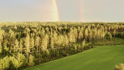 Aerial: double rainbow over summer pine tree forest, very clear skies, Sweden Stock Footage 116480877