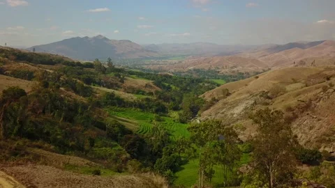 Aerial  down over rice fields, trees, village and Amboaboa River Madagascar Stock Footage 230232867