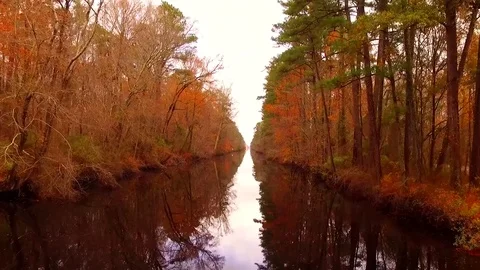 Aerial Down a River Video stock 83923357