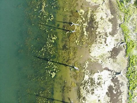 Aerial Downshot view of Beach on Devil's Lake in North Dakota Stock Photos