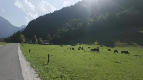 Aerial Drive Through Logar Valley, Slovenia – Scenic Road in Nature Stock Footage 315465769