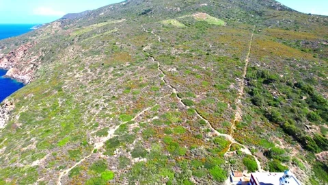 Aerial drone 4K flight view South Lighthouse path Giglio Island Italy 스톡 동영상 245107893