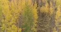 Aerial Drone 4K Vail Colorado Mountains Autumn Fall Leaves - 01 4k or 4k+ Resolution