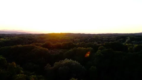 Aerial drone 4k video forest Tuscany Sunset Italy flight view Stock-Footage 250093541