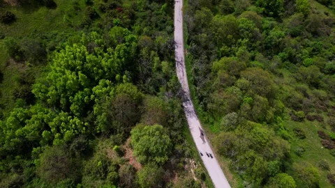 Aerial drone 4K view of tracking bikers in mountain narrow street surrounded Stock-Footage 241174551