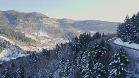 Aerial drone above snowy pine trees revealing valley and mountains vosges Stock Footage 296701006