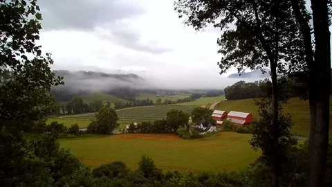 Aerial drone Appalachia mountains morning fog push trees Stock Footage
