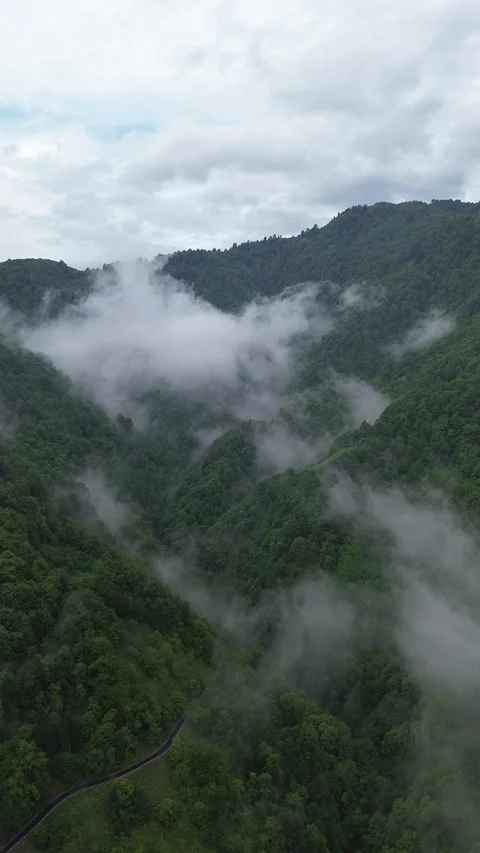 Aerial Drone Approaching Forested Gorge Filled With Clouds Adjara Georgia, Mount 스톡 동영상 337541544