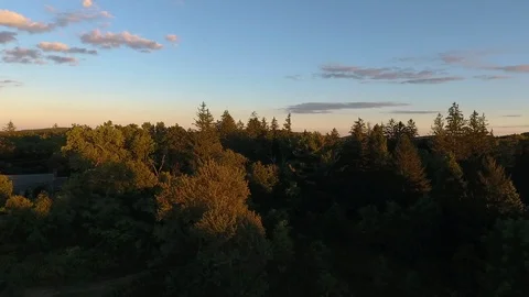 Aerial Drone Approaching Woods Video stock 112273364