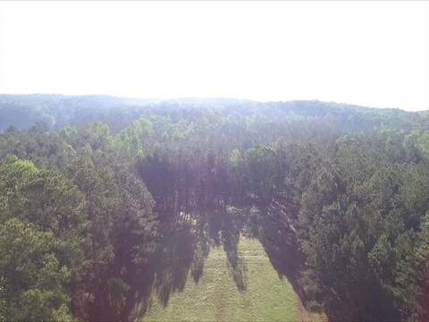Aerial Drone Ascending Over a Field and Forest Stock Footage