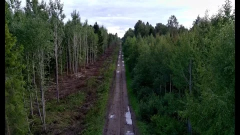 Aerial Drone Ascent Over Former Tallinn–Pärnu Railway Corridor Stock Footage 343307172