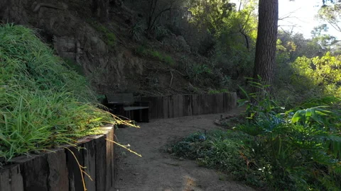 Aerial: Drone Backward Sunrays On Beautiful View Of Tranquil Garden -  Los Stock Footage 234032293