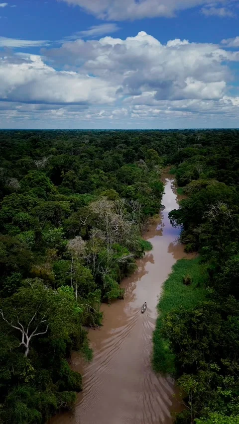 Aerial Drone of Boat on Amazon River Jungle 動画素材 316402425