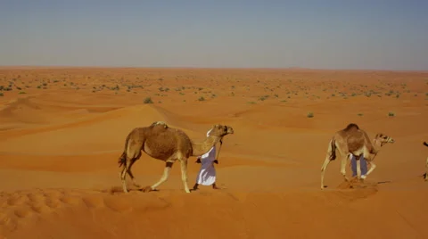 Aerial drone of camel train travelling across a Middle Eastern desert Stock Footage 64850152