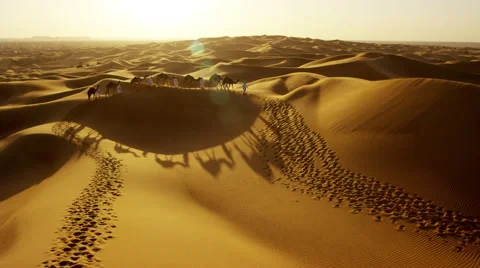 Aerial drone of camel train travelling across a Middle Eastern desert Stock Footage