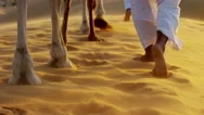 Aerial Drone Of Camels Being Led By Handlers Across Desert Sand Dunes Stock Footage