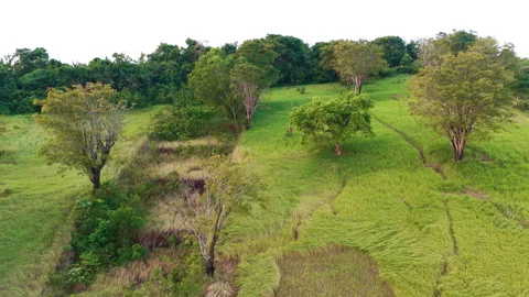 Aerial Drone Camera Turning Over Hilltop Summit Landscape Stock Footage 344866585