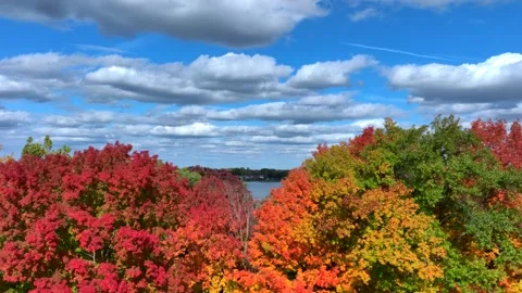 Aerial drone captures stunning fall colors at Orchard and Cass Lakes in Michigan Stock Footage 220035248
