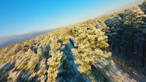 Aerial drone capturing winding snowy road cutting through dense pine forest Video stock 306384689