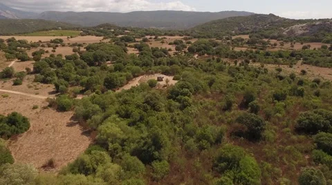 Aerial Drone cauria Stock Footage 61737027