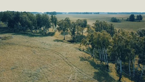 Aerial drone circulating over the field and karst cave, Russia Stock Footage 93510124