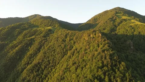 Aerial Drone Close Flight Over Treetops at Mountain Saddle, Georgia 4K 스톡 동영상 337355185