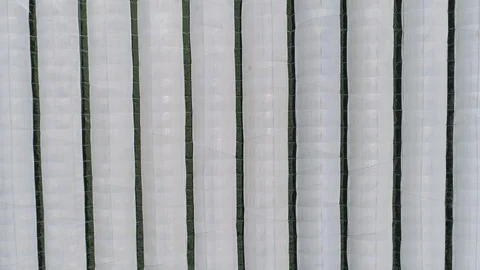 AERIAL DRONE CLOSE TOP-DOWN GREENHOUSE Stock Footage 130054714