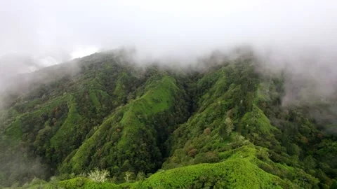 Aerial Drone of Clouds over High Mountains of Tahiti &amp; Cyclists 10Bit Stock Footage 171972183