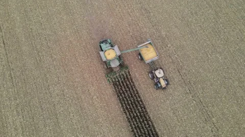 Aerial drone combine unloading corn to buggy Stock Footage 201493688
