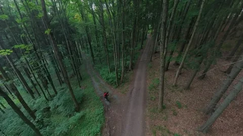Aerial Drone Cyclist Descends Left Fork Czech Forest Passes Under Camera Vídeos de archivo 340772509