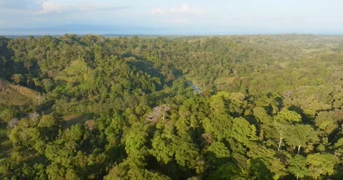 Aerial Drone Dropping Over A River Running Through A Dense Rainforest Valley Stock Footage 277079863