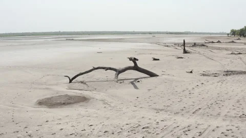 Aerial drone drought - Dried river in Africa Stock Footage 166833747