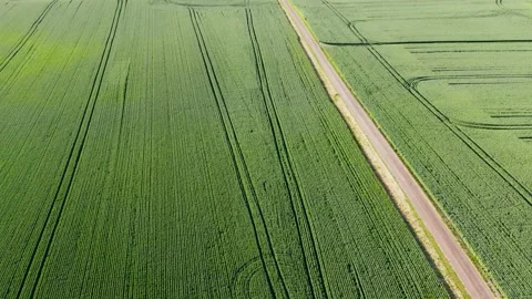 Aerial drone - Farming fields with tractor tracks - Orenas Sweden Stock Footage 157134144