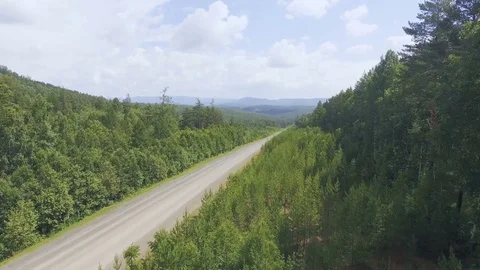 AERIAL: Drone flies from behind the trees on a beautiful road. Video stock 78035826