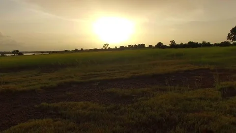 Aerial. The drone flies quickly wrapped up on an African plain near a lake. Stock Footage 71284356