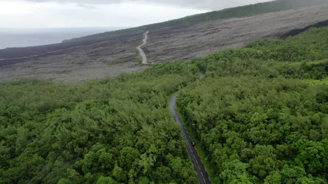 Aerial drone flight along forest to lava flows Reunion Island Stock Footage 317882293