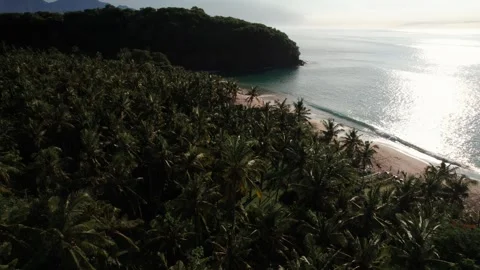 Aerial Drone Flight Along Virgin Beach Coastline in Bali Vídeos de archivo 337802001